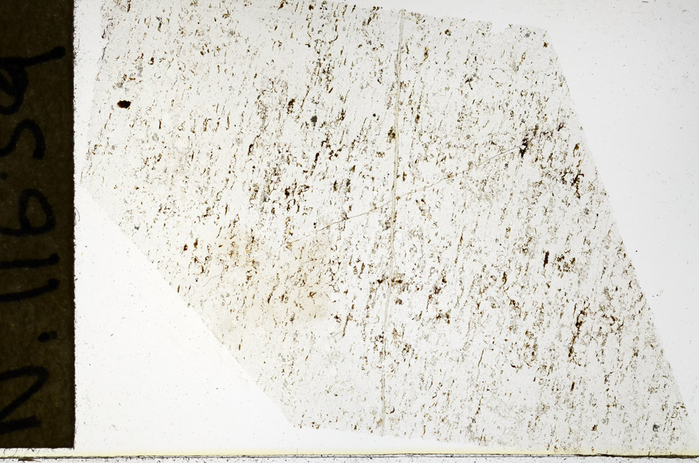 Plane Polarized, N11639
