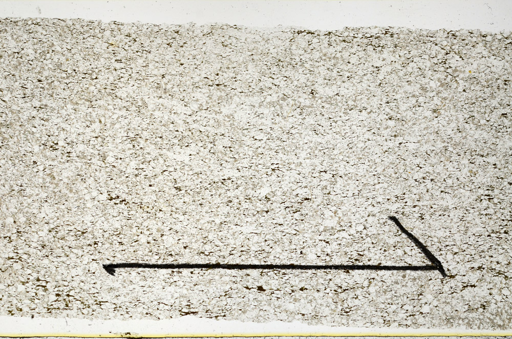 Plane Polarized, N11640