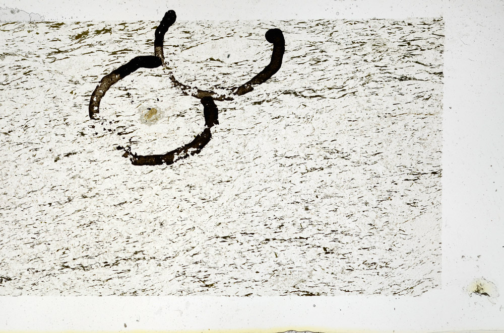 Plane Polarized, N11642