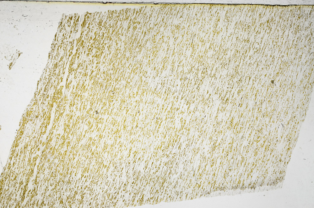 Plane Polarized, N11644/A
