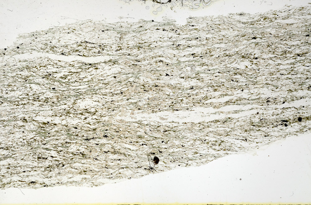 Plane Polarized, N11645