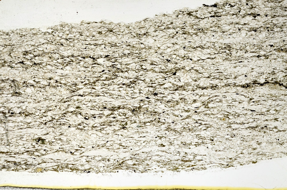 Plane Polarized, N11647