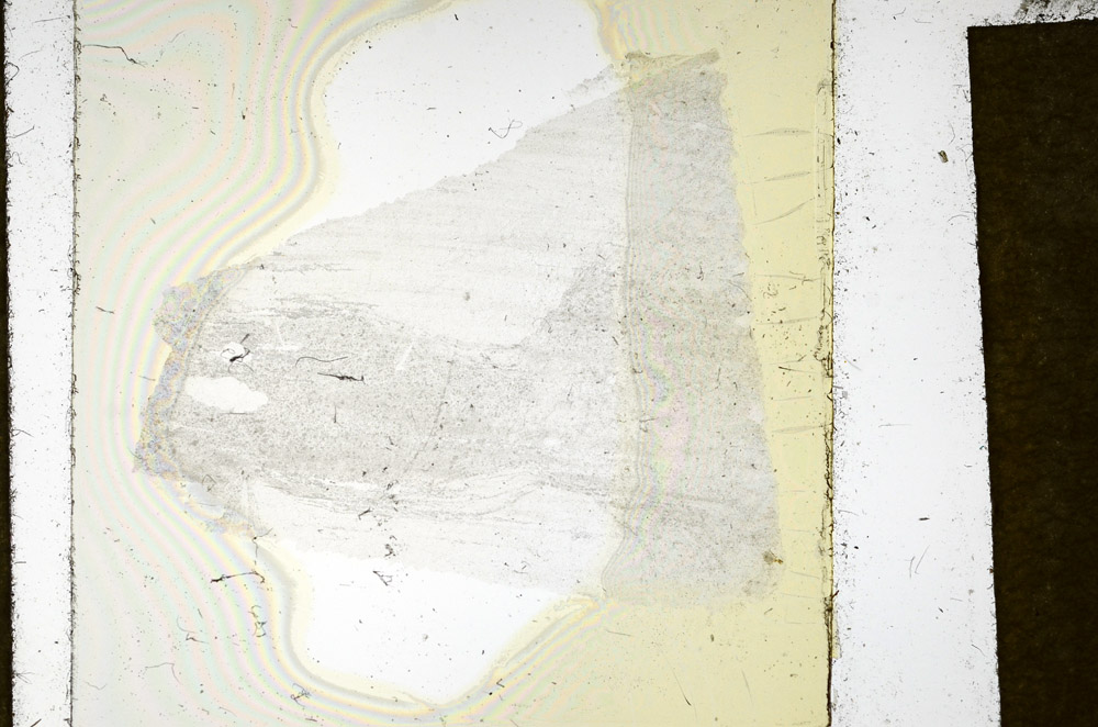 Plane Polarized, N11648/B