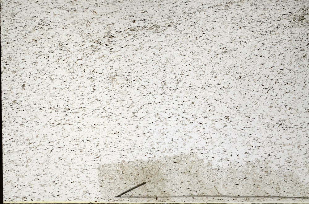 Plane Polarized, N11653