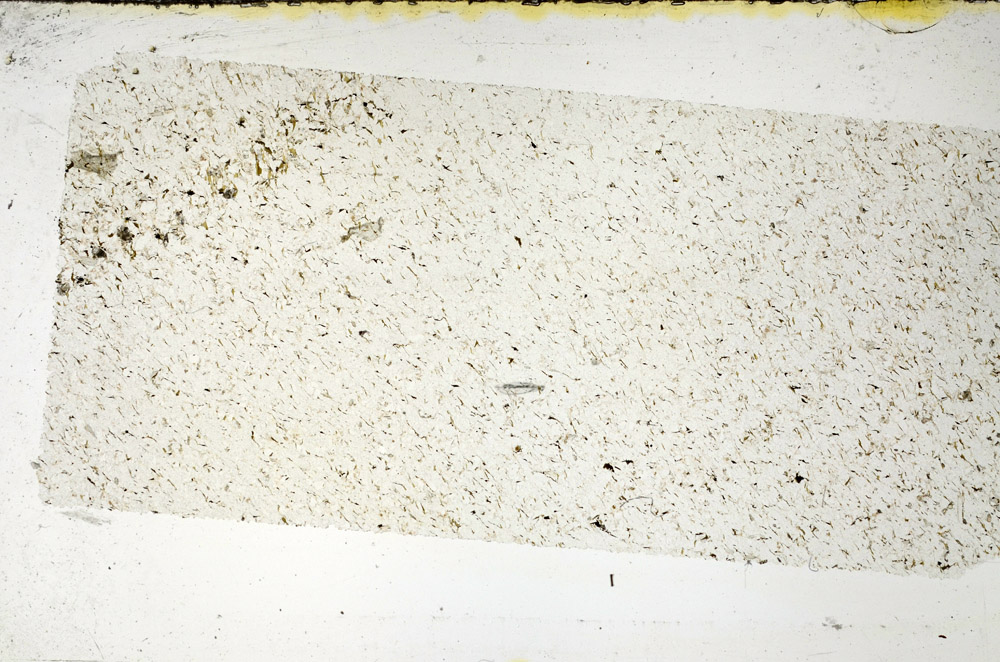 Plane Polarized, N11655
