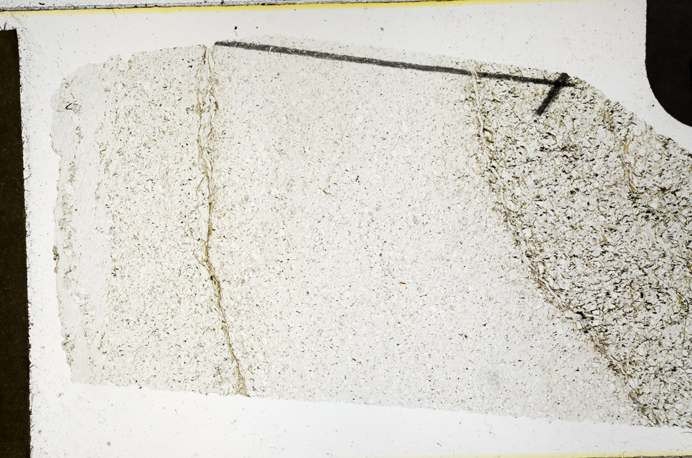 Plane Polarized, N11657