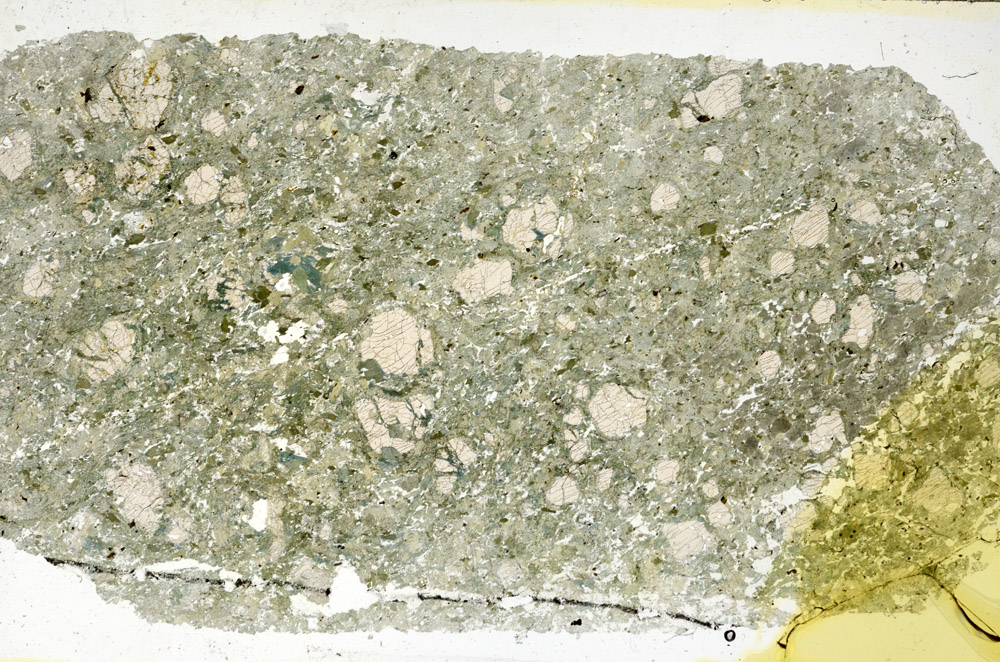 Plane Polarized, N11679