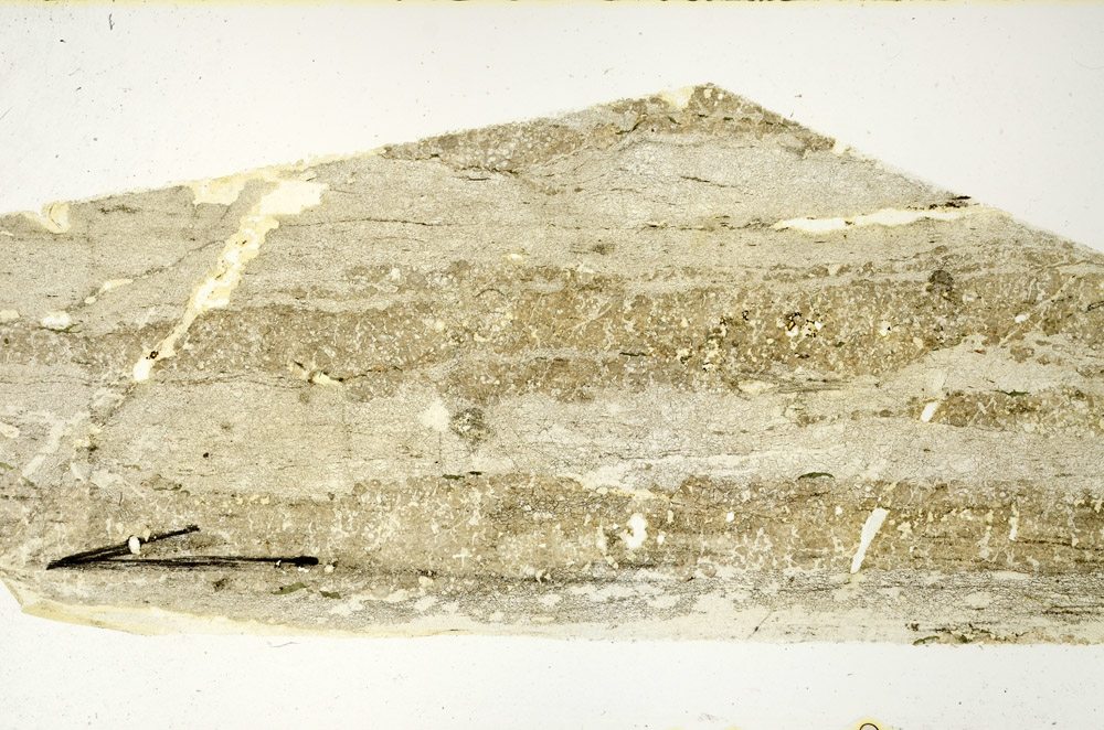 Plane Polarized, N11725/B