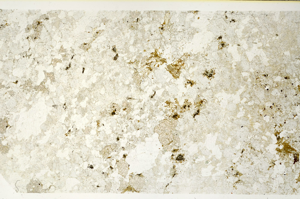 Plane Polarized, N11730