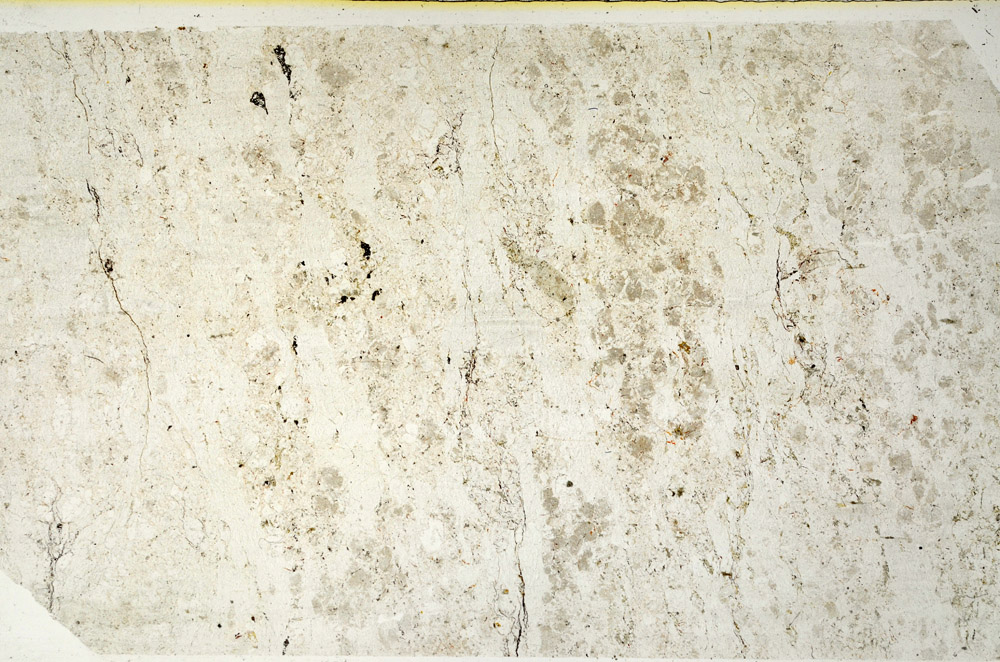 Plane Polarized, N11733