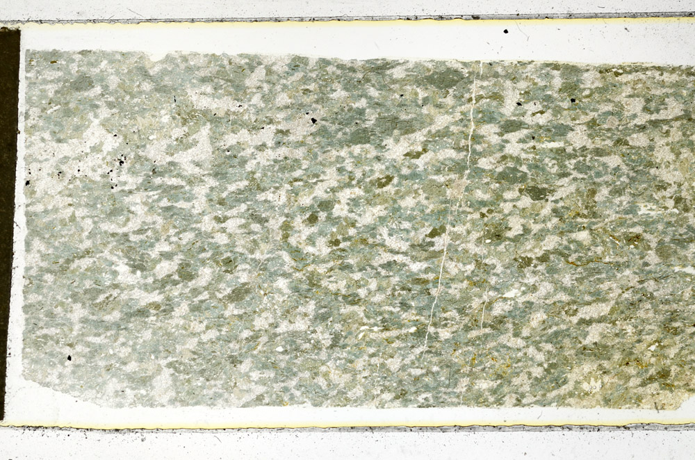 Plane Polarized, N11741