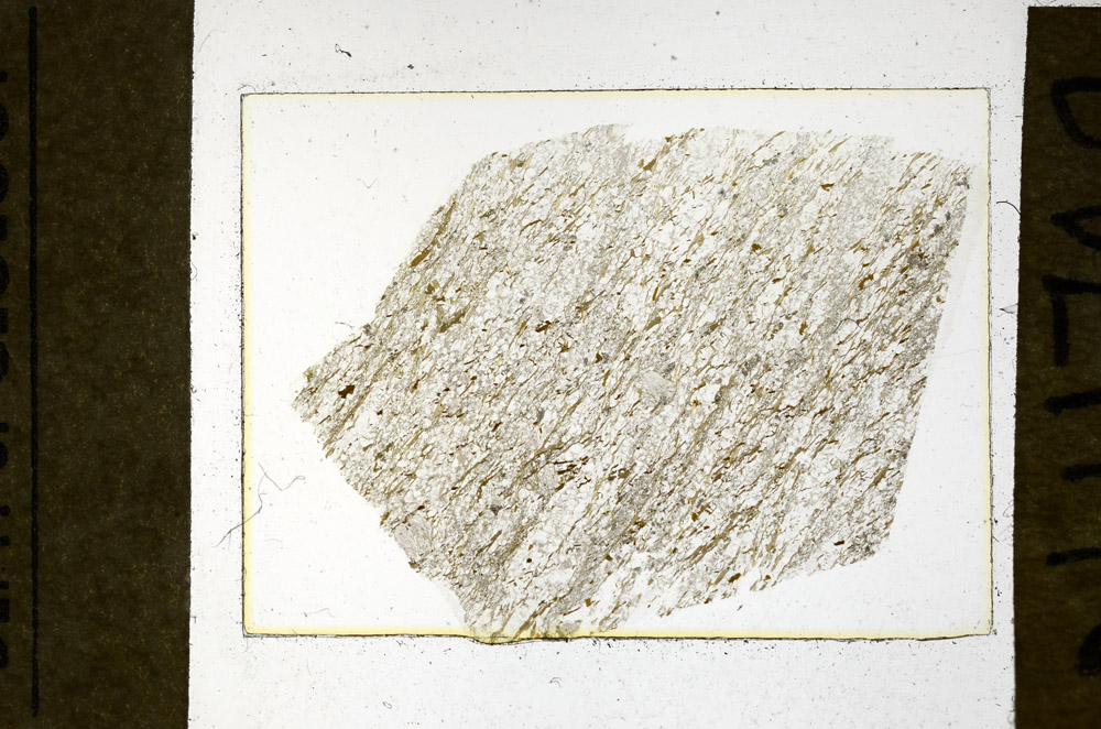 Plane Polarized, N11742