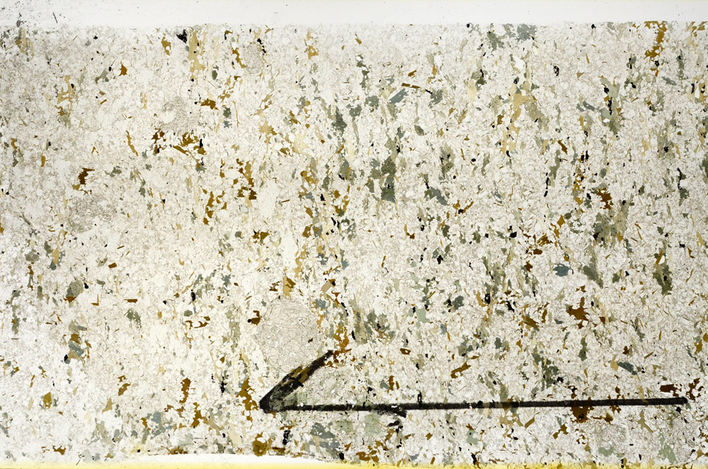 Plane Polarized, N11766