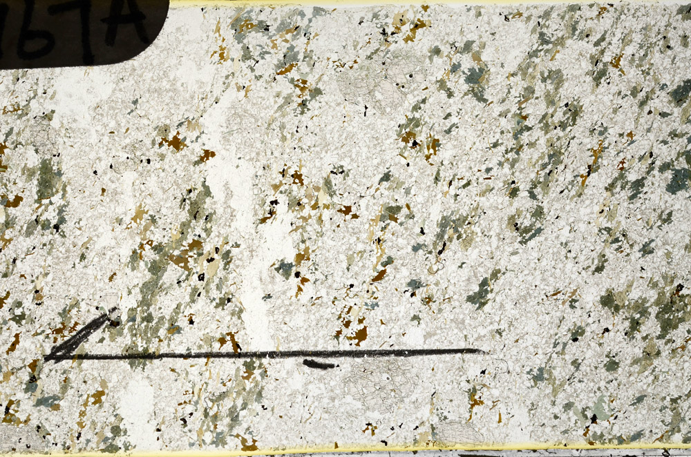 Plane Polarized, N11767/A