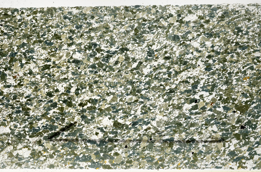 Plane Polarized, N11769