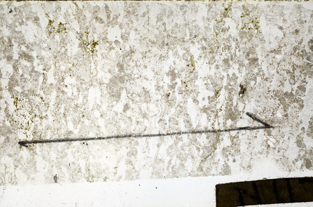 Plane Polarized, N11795/A
