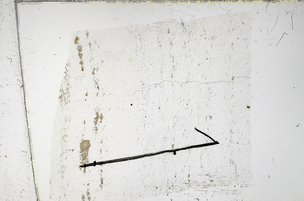 Plane Polarized, N11813/B