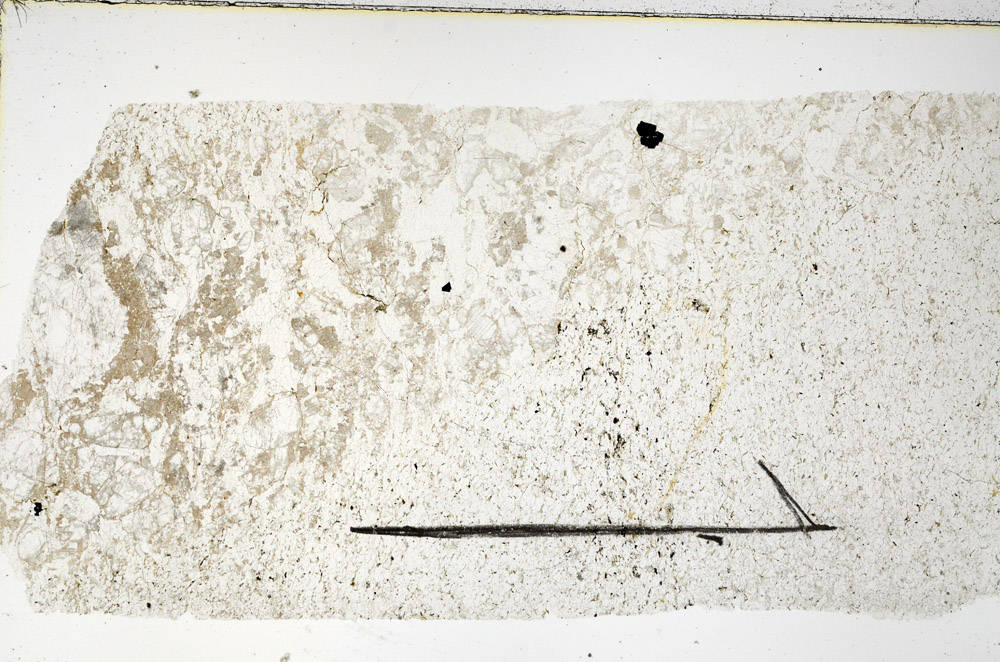 Plane Polarized, N11814
