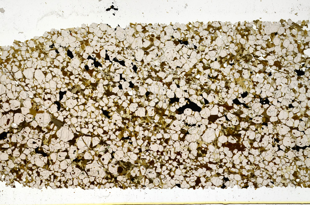 Plane Polarized, N11829
