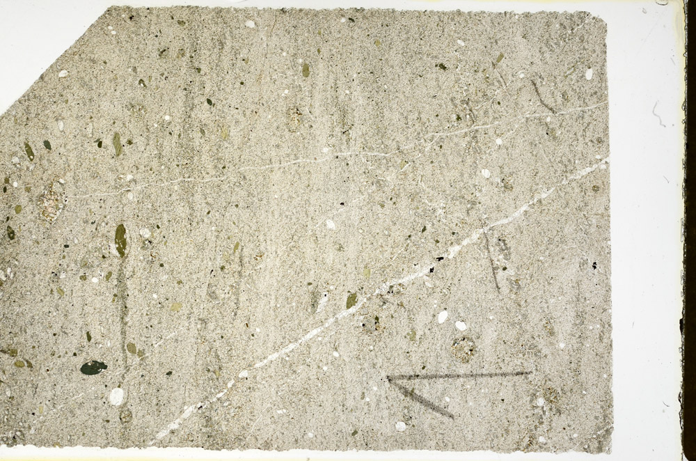 Plane Polarized, N11848