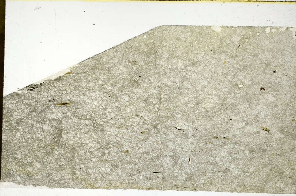 Plane Polarized, N11867