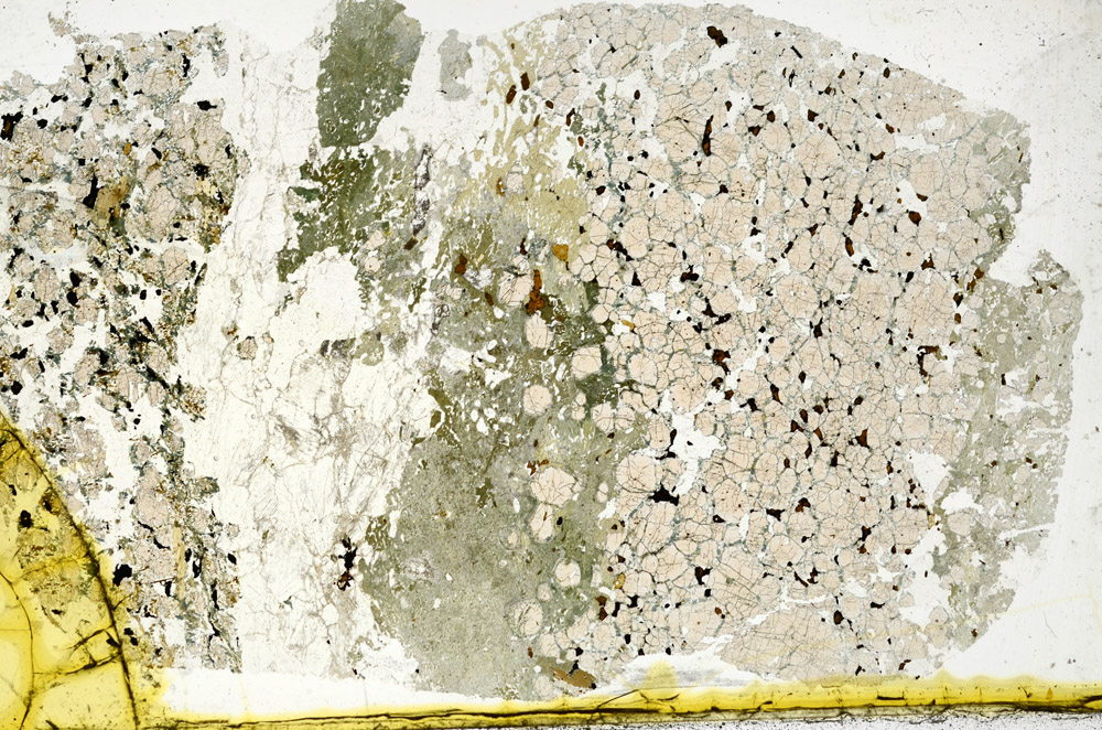 Plane Polarized, N11901