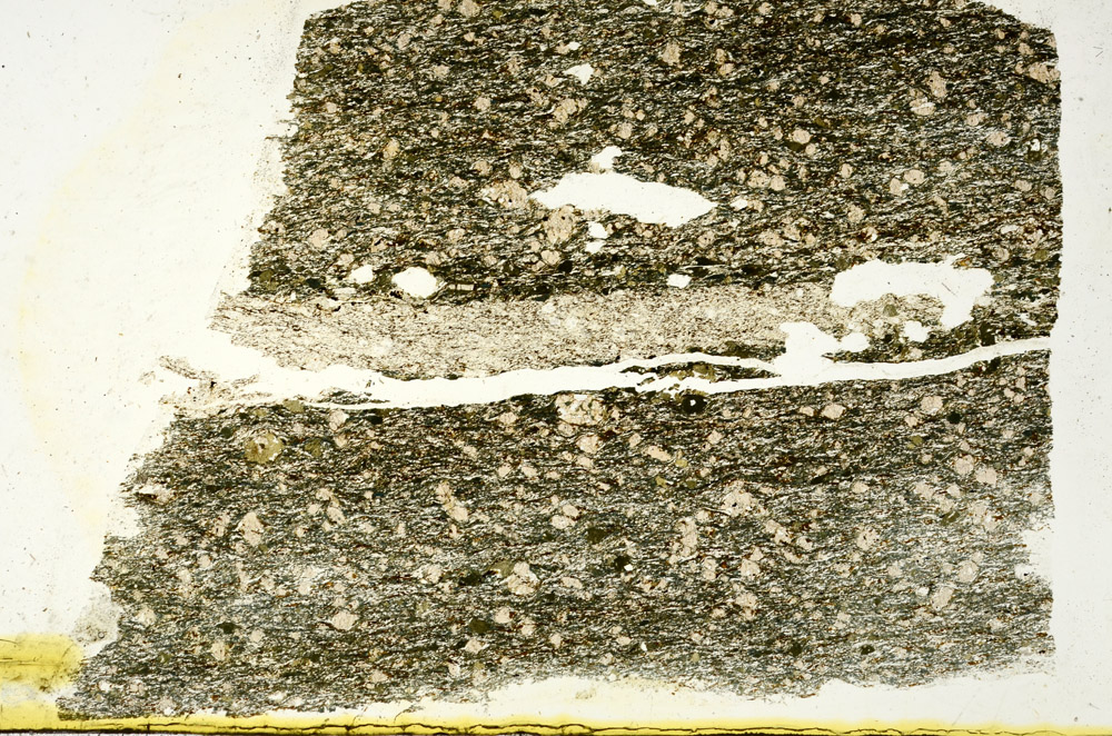 Plane Polarized, N11991