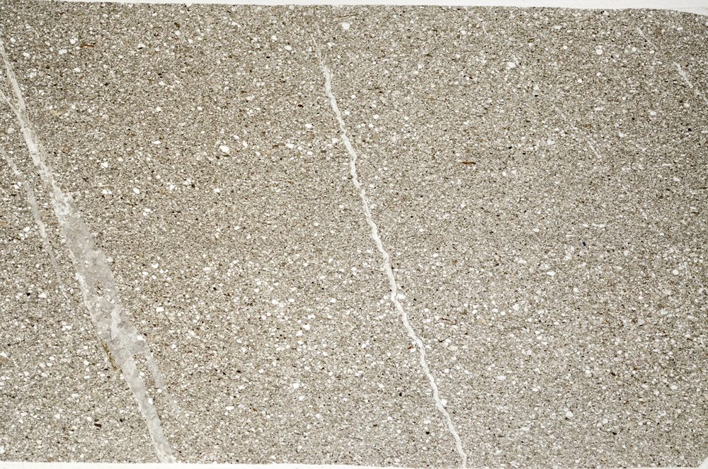 Plane Polarized, N12235