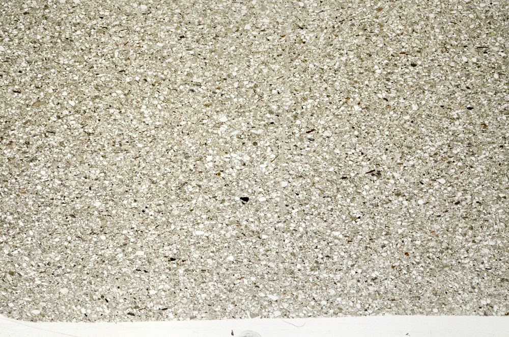 Plane Polarized, N12254