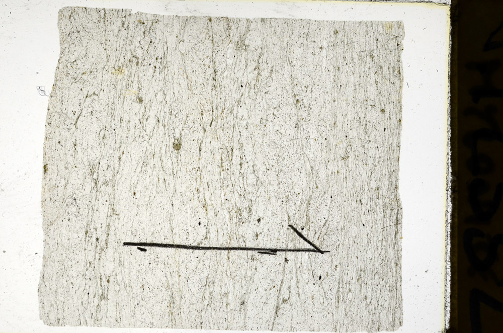 Plane Polarized, N12332