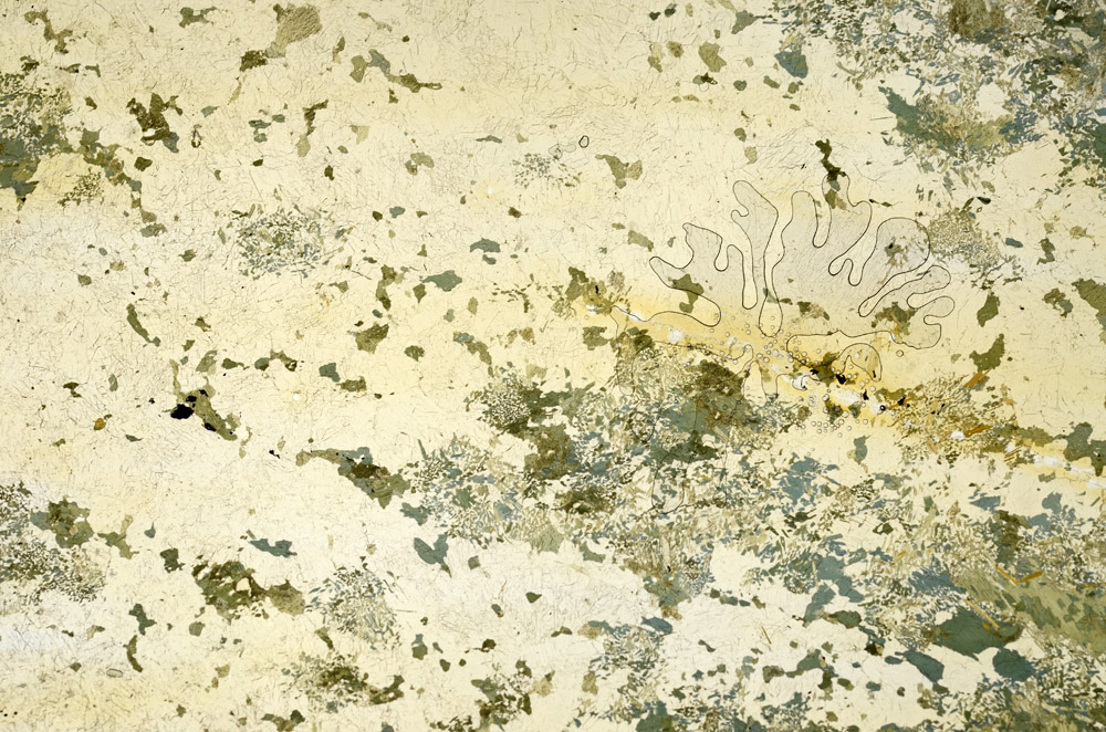 Plane Polarized, N12454