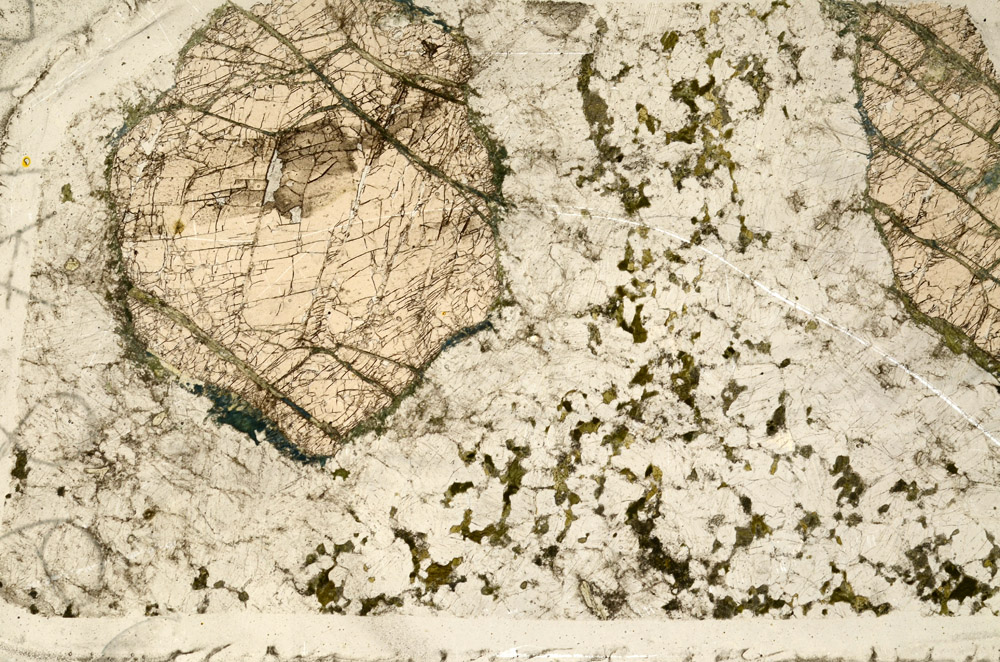 Plane Polarized, N12455/B
