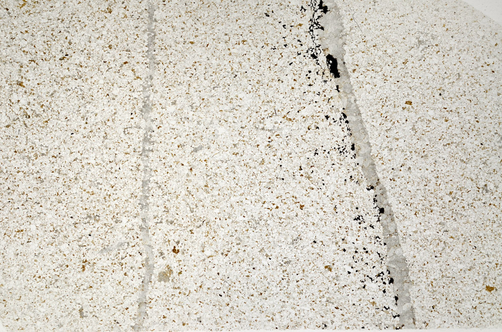 Plane Polarized, N12472