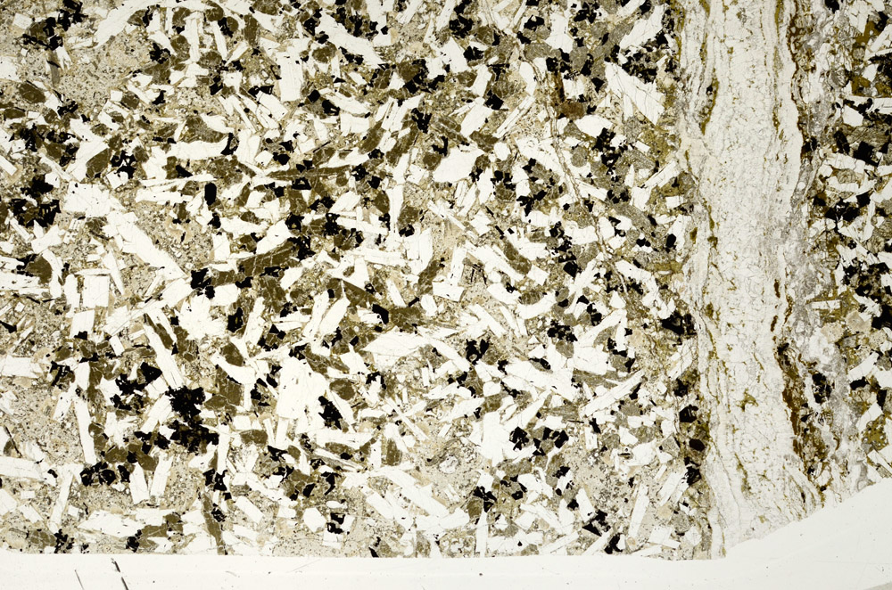 Plane Polarized, N12483