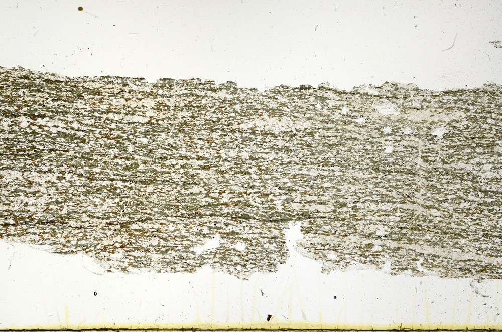 Plane Polarized, N12496