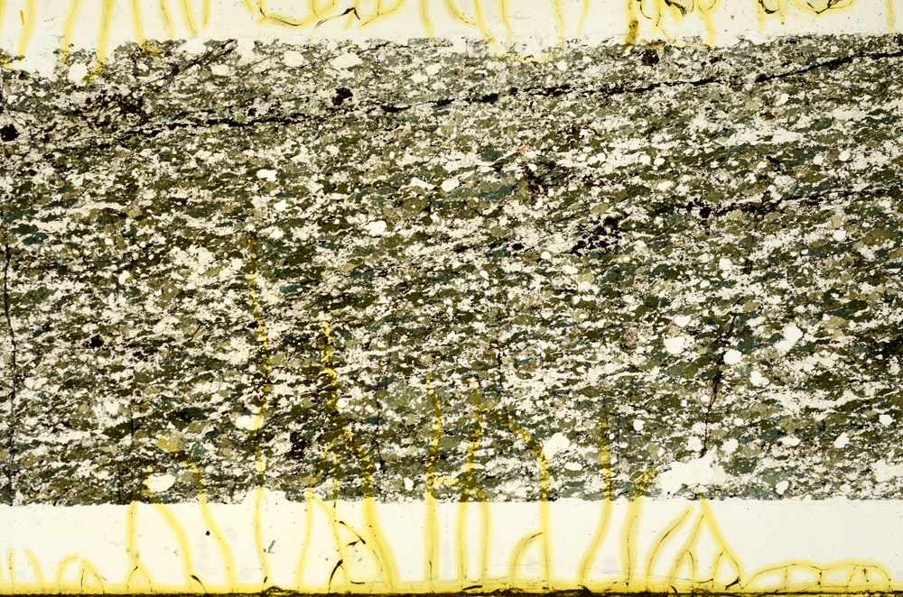 Plane Polarized, N12498