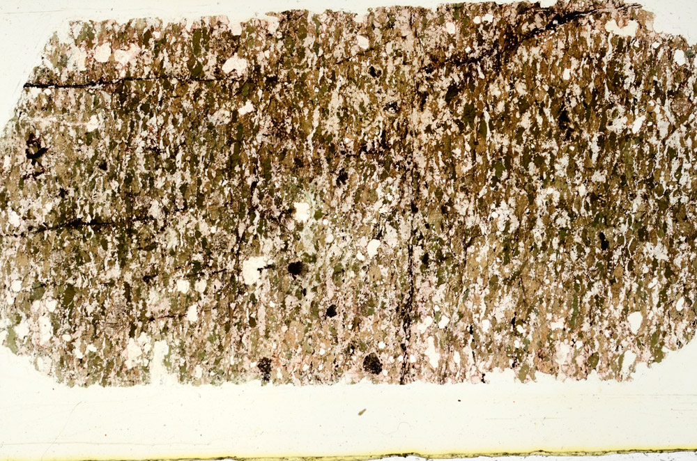 Plane Polarized, N12498/C