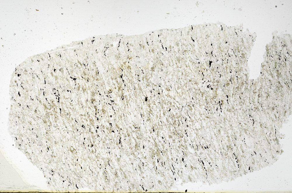 Plane Polarized, N12614