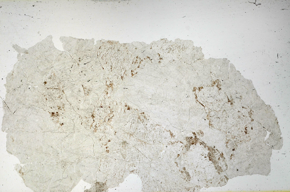 Plane Polarized, N12622