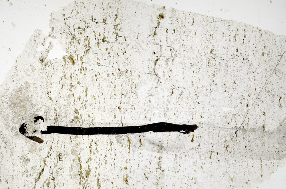 Plane Polarized, N12624