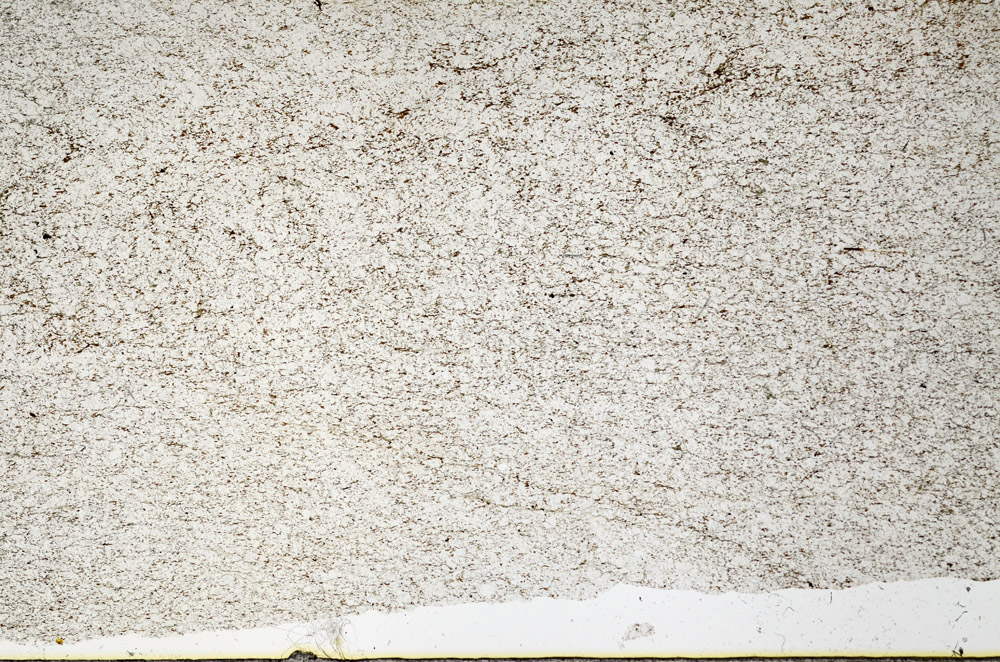 Plane Polarized, N12633