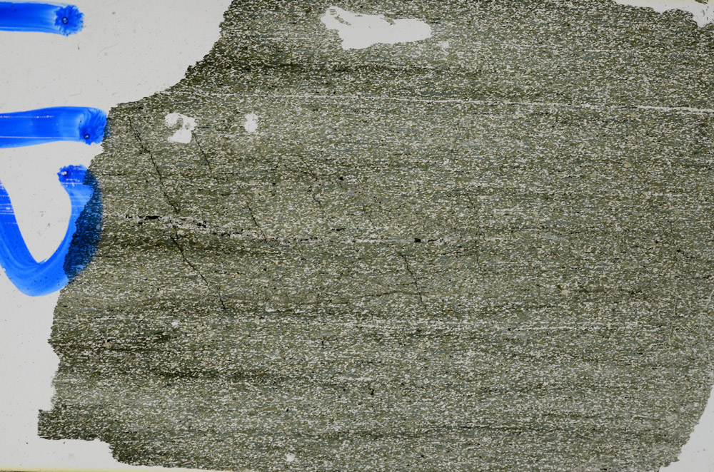 Plane Polarized, N12649