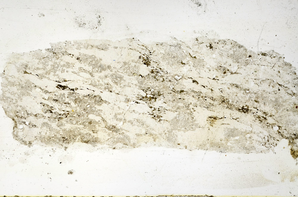 Plane Polarized, N12650