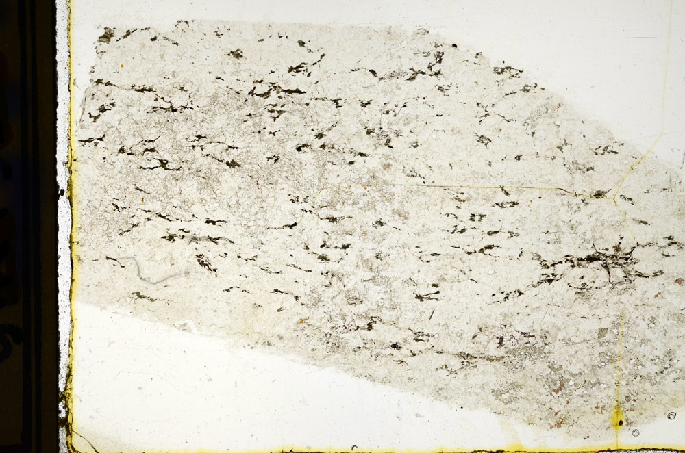 Plane Polarized, N12653