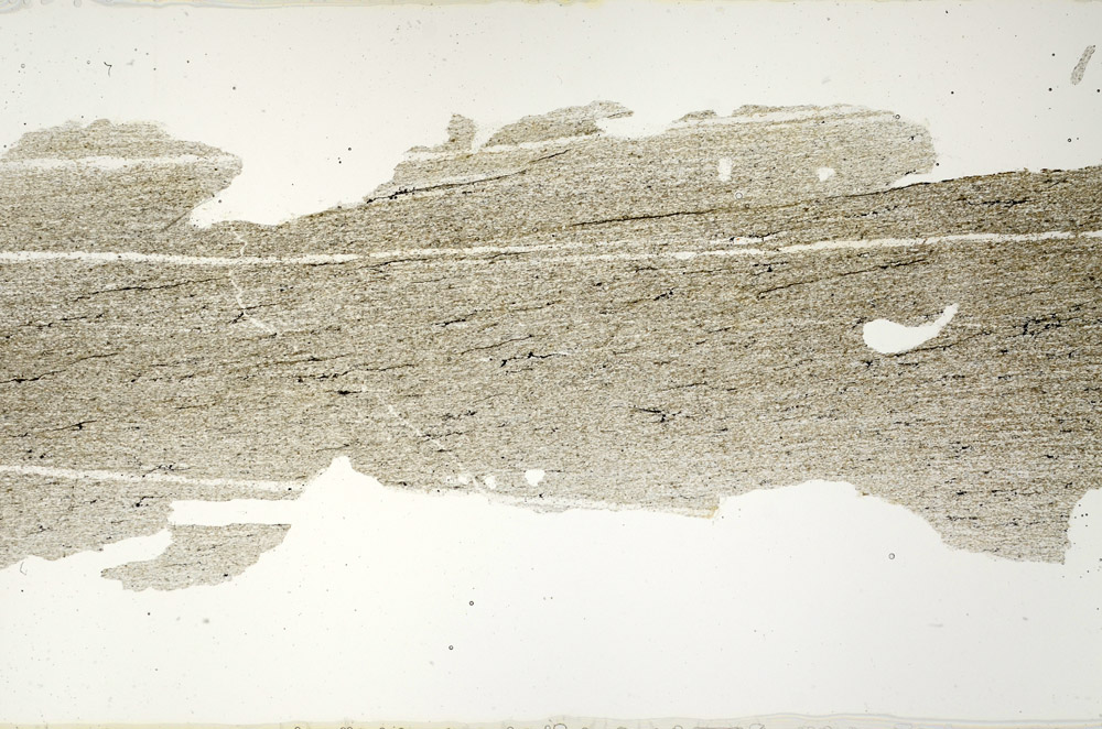 Plane Polarized, N12665