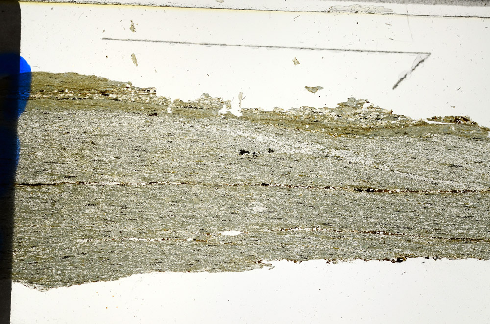 Plane Polarized, N12667