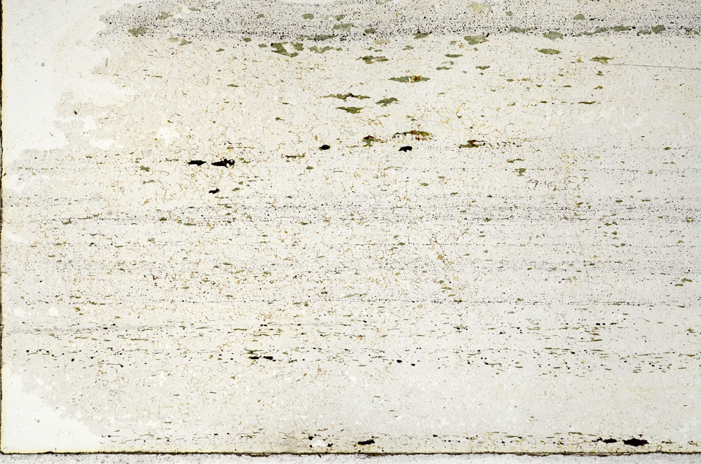 Plane Polarized, N12676