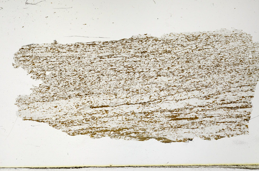 Plane Polarized, N12683