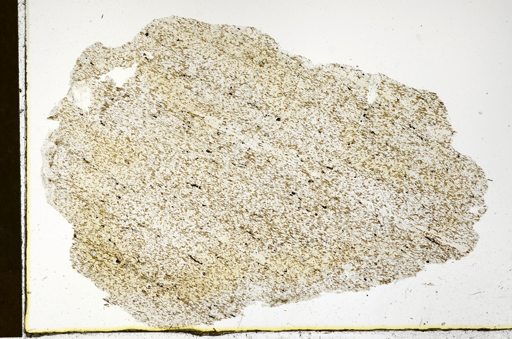 Plane Polarized, N12700