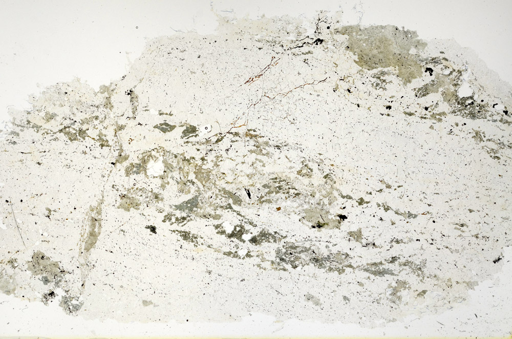 Plane Polarized, N12701